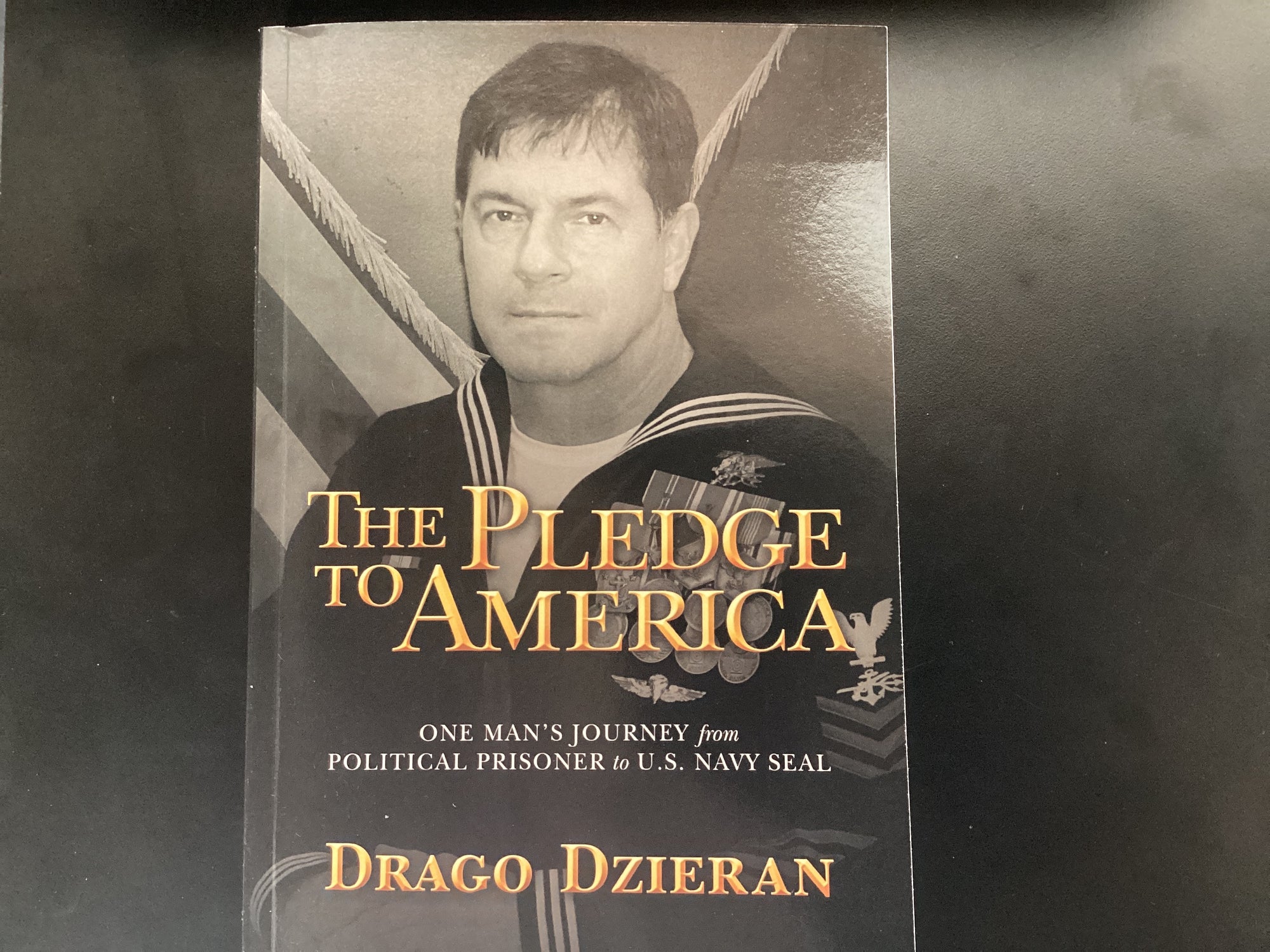 The Pledge to America - by Drago Dzieran